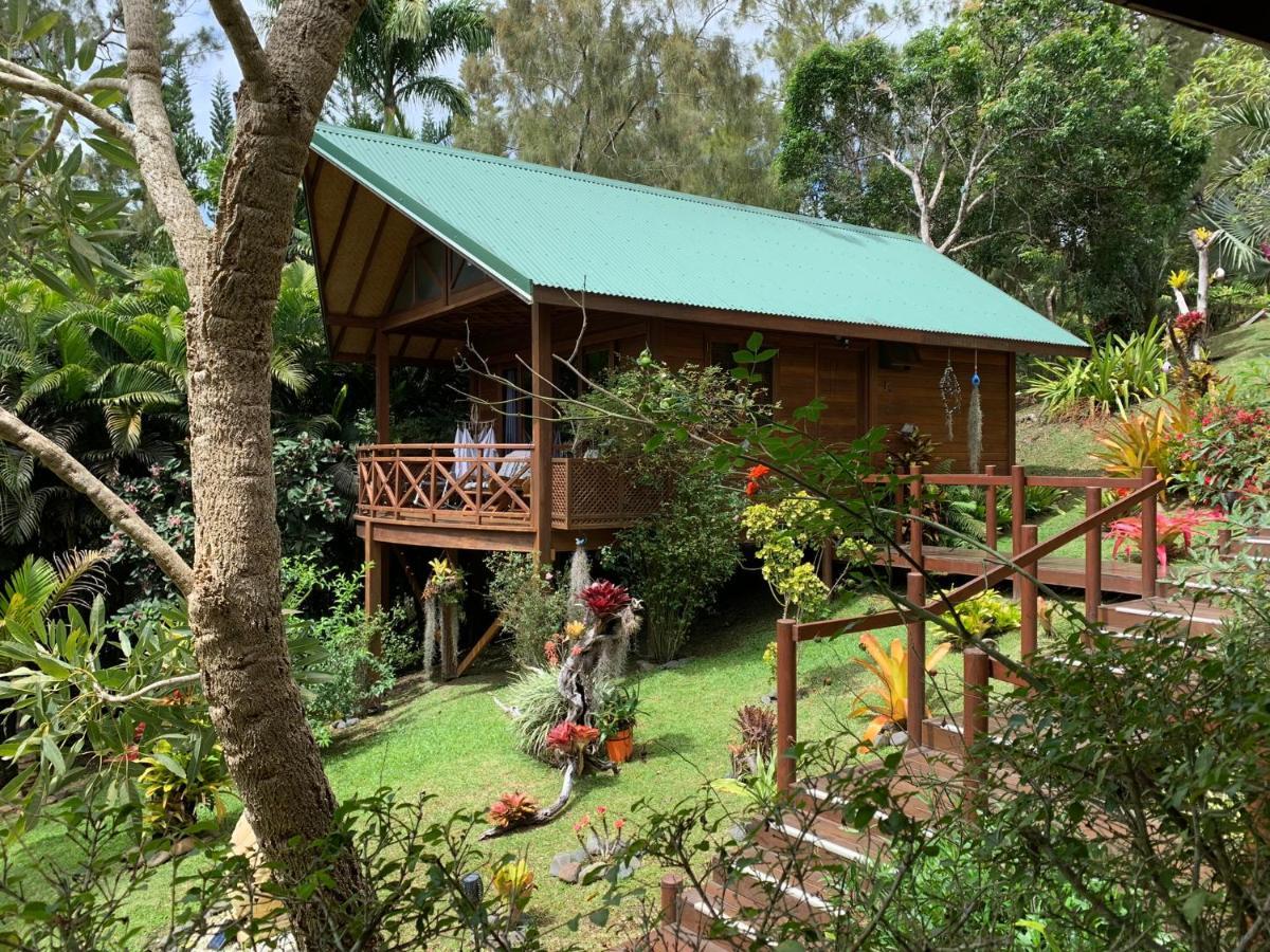 Le Nirvana - Oasis De Tendea - Farino Exterior foto